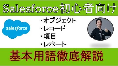 【オブジェクト・レコード・項目・レポート】Salesforce基本用語徹底解説【初心者向け】