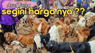 Early June Prices  Pasar Legi Durenan