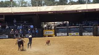 Rodeo viva la fiesta Santa Bárbara Ca 2018