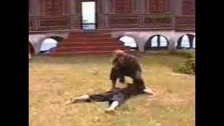 Harimau Pencak Silat