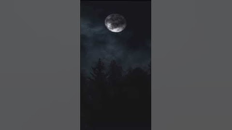 سورة الفاتحة بصوت القارئ / عبدالرحمن السديس .