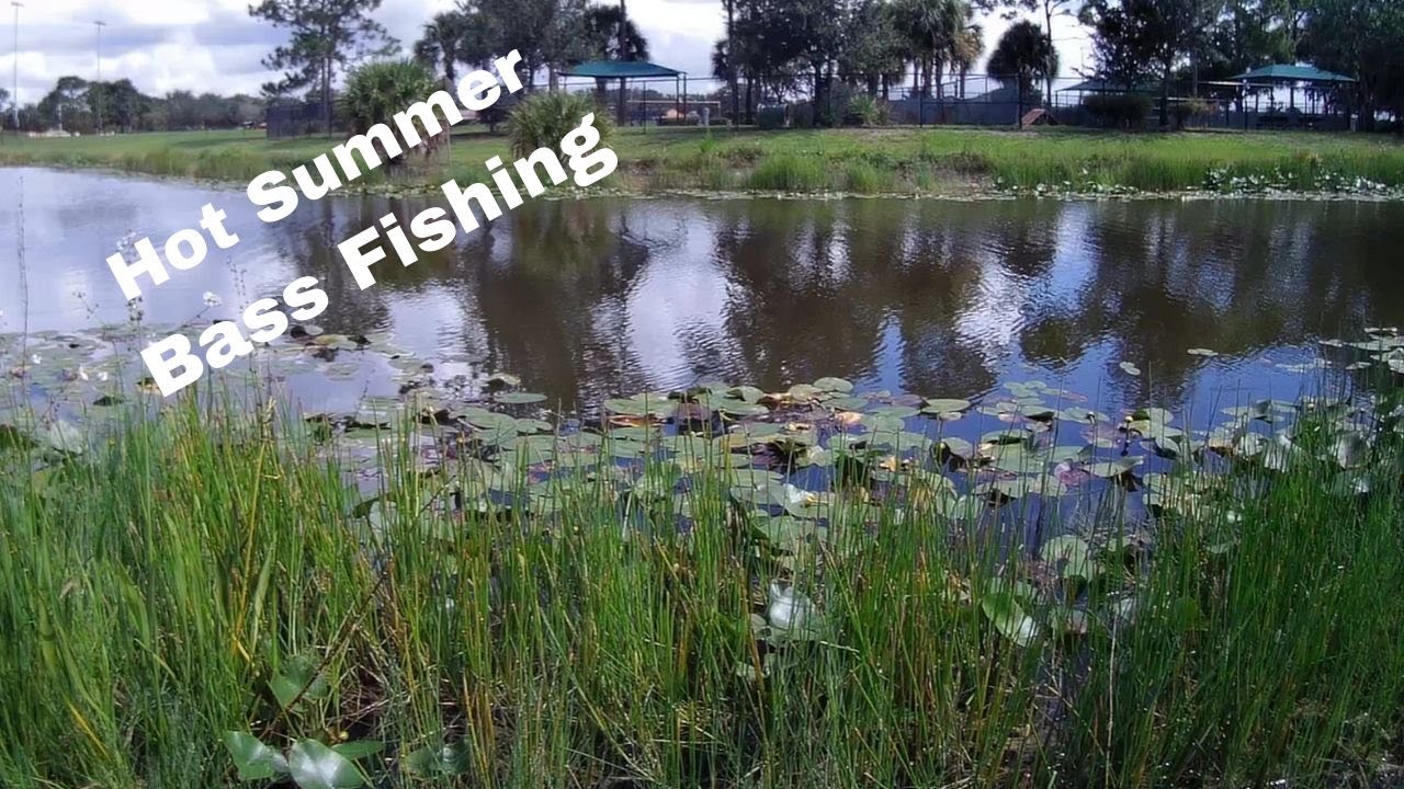 Hot Summer time Bass fishing