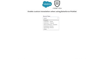 Enable custom translation when using Salesforce picklist