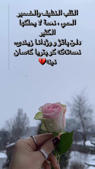 سلطان-هذا الشتاء SULTAN-HATHA ELSHATA(2022) #duhok #hawler #kurdistan #like #norway #subscribe