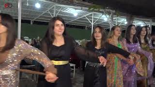 Yüksekovanın Renkli Ve Güzel Halayı Şêxaniya Oremariya