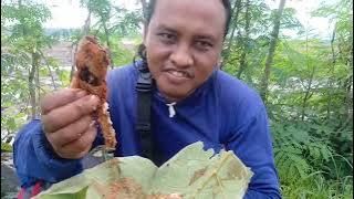 Download lagu Ape budal muat neng wangklu wetan kog malah kukune kesarok gobrahhh