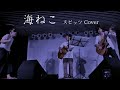 まっしー&鎌田純子 / 海ねこ〈スピッツ〉(2012.8.4LIVE)