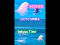 おだやかな時間。シロイルカに魅了させる幸せ #横浜 #キラキラ #animals #mentalhealth #aquarium #動物 #dolphin #癒し #cute #生き物 #beluga