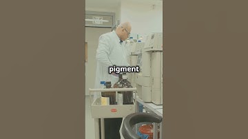 Part 3: The Scientific Investigations #unsolvedmystery #paranormal