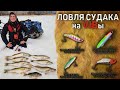 Активный клев судака на вибы. Вибы на судака.