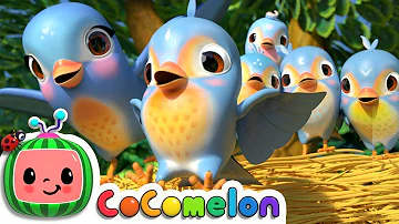 Five Little Birds 3 | CoCoMelon Nursery Rhymes & Kids Songs