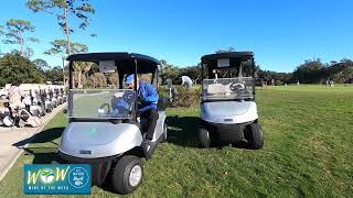 WOW: New Golf Carts at Palm Harbor