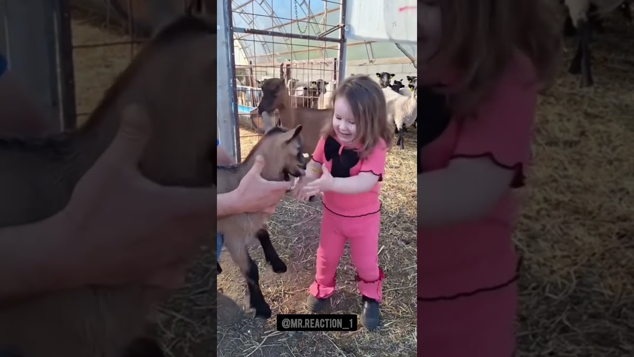 Kids' Epic Fail Compilation 😂