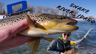 BIG BROWN TROUT Fishing WITH BIG LURES! | Snake River Trout Fishing!