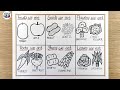 Parts of the plant we eat drawing | Edible parts of the plant drawing | Food we get from the plants 