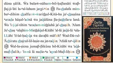 ختمة من مصحف التجويد باللغة الألمانية الصفحة رقم 172