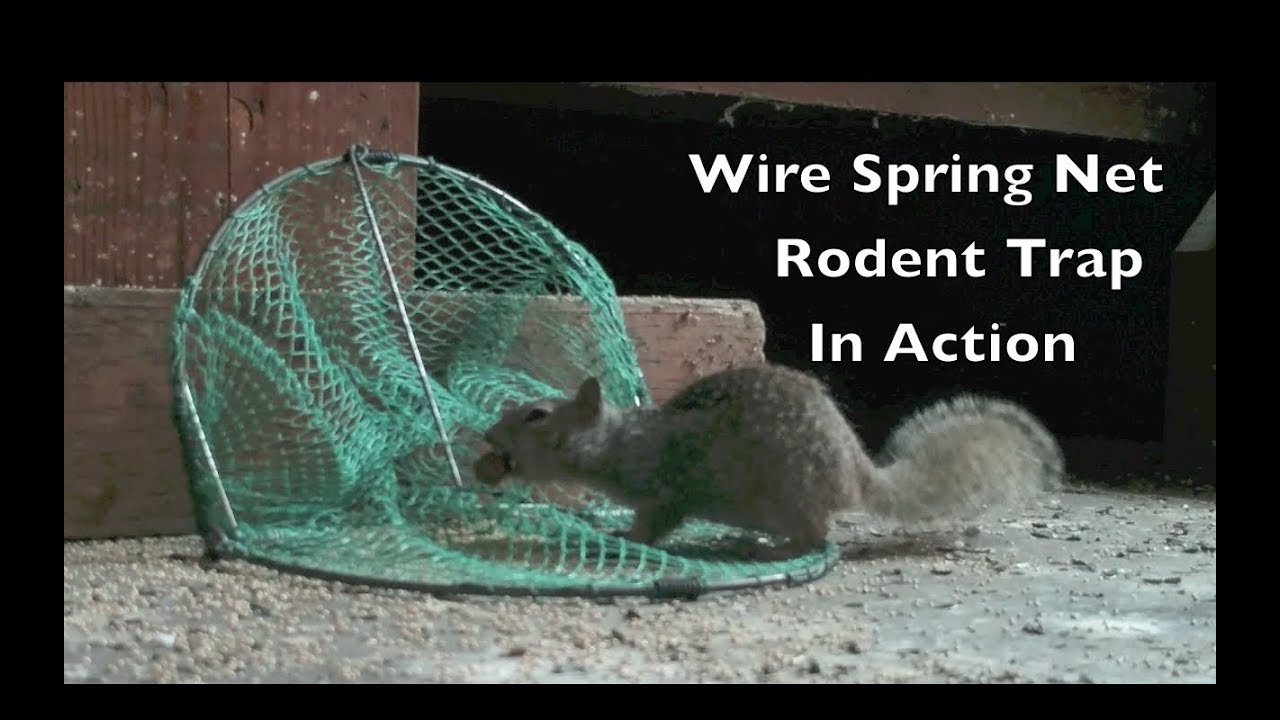 tomcat mouse trap press n set Wire Spring Net Rodent Trap In Action. MAJOR FAIL.