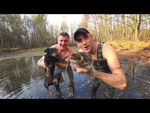 Никто не ожидал такое поймать в болоте. Ловля руками. Виталиком Зеленым.
