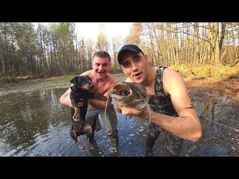 Видео: Никто не ожидал такое поймать в болоте. Ловля руками. Виталиком Зеленым.