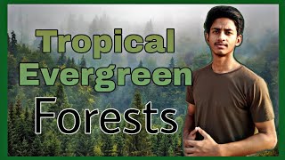 Tropical Evergreen forests explained in hindi | forest in hindi