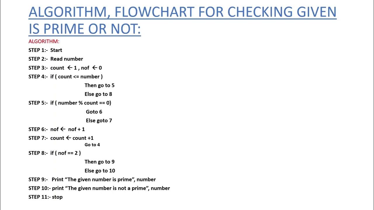 ALGORITHM, FLOWCHART AND PROGRAM FOR PRIME NUMBER - YouTube