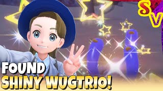 FULL ODDS Shiny Wugtrio Found! Pokemon Scarlet Shiny Only Run Highlight