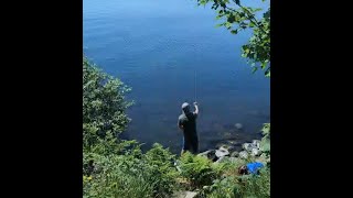 Floating Gliding Trout Video test