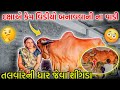 Kem Video Nai Aveрџ Talwar Ni Dhaar Jeva Singda аЄ а аЄ аЄµаЄїаЄЎа ЂаЄЇа аЄЁаЄ а ЂаЄ аЄ аЄµа рџ аЄ аЄІаЄµаЄѕаЄ аЄЁа ЂаЄ аЄѕаЄ аЄња аЄµаЄѕаЄ аЄїаЄ аЄ аЄЎаЄѕ Farming Kem Video Nai Aveрџ Talwar Ni Dhaar Jeva Singda аЄ а аЄ аЄµаЄїаЄЎа ЂаЄЇа аЄЁаЄ а ЂаЄ аЄ аЄµа рџ аЄ аЄІаЄµаЄѕаЄ аЄЁа ЂаЄ аЄѕаЄ аЄња аЄµаЄѕаЄ аЄїаЄ аЄ аЄЎаЄѕ Farming