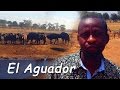 34 | Aguador de animales en Kenia