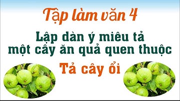 Lập dàn ý miêu tả một cây ăn quả quen thuộc - Tả Cây ổi