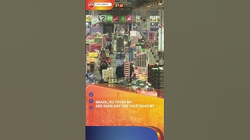 BRAZIL, EU TUYÊN BỐ SẴN SÀNG ĐÁP TRẢ THUẾ QUAN MỸ