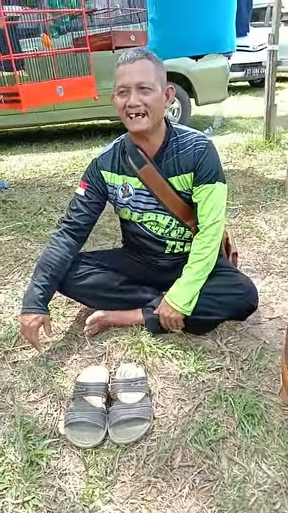Vidio kocak adu burung murai