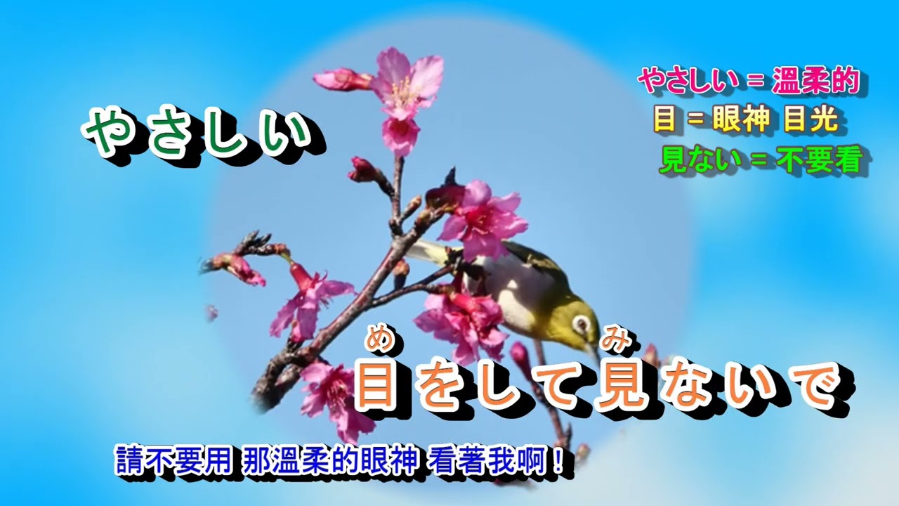青い珊瑚礁 松田聖子 字意版 - YouTube