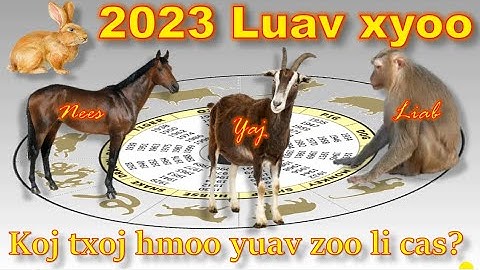 2023 (luav xyoo) koj txoj hmoo yuav zoo li cas # 3 ( Nees, Yaj, Liab)