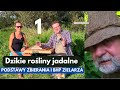 Dlaczego nie jeść wszystkiego co popadnie - Dzikie rośliny jadalne 1