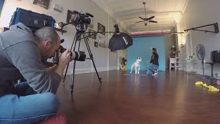New calendar from photographer Greg Murray to celebrate 'Perfectly Imperfect' pups