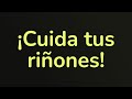 ¡Cuida tus riñones! (Tus filtros espirituales)