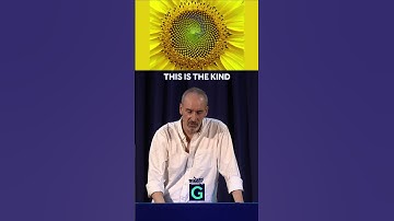 Zonnebloemen onthullen de verborgen geheimen van de Fibonacci-spiraal! #planten #wiskunde #fibonacci