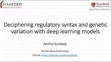 Dr. Anshul Kundaje - Deciphering regulatory syntax and genetic variation with deep learning models