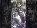 خطير جدا فيديو يوثق لاعتداء خطير تعرض له مواطنون بمدينة أكادير على متن حافلة للنقل الحضري ألزا خطير جدا فيديو يوثق لاعتداء خطير تعرض له مواطنون بمدينة أكادير على متن حافلة للنقل الحضري ألزا