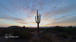 Arizona Sonoran Desert Sunrise with Lone Saguaro | Cinematic Time-Lapse