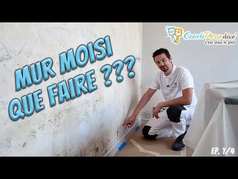 Vidéo: Moisissure sous le papier peint : causes, méthodes et remèdes