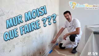 Reprendre un mur peint après un dégât des eaux (travaux préparatoires) - Masterclass 1/4