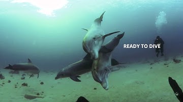 Vuze XR 360° Waterproof Case Quick Start Guide