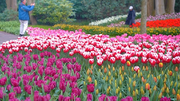 Spring in Europe