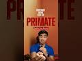 Primate is a Cheesy January Slasher with GREAT Practical Effects 🐒 | Primate Spoiler-Free Review