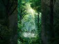 Environmental Music for Relaxation & Nature Connection