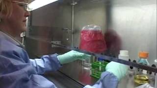 Work_Inside_the_BSC.m4v