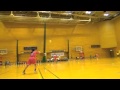 THE HANDBALL