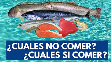 ¿Se puede comprar pescado sin mercurio?